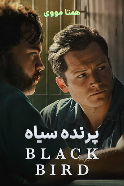 دانلود سریال Black Bird 2022